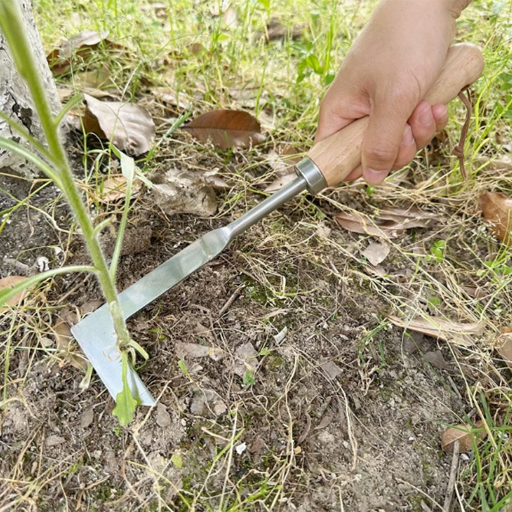 Stainless Steel Gap Weeding To - đánh giá và giá Gardening Hand Tools Yard