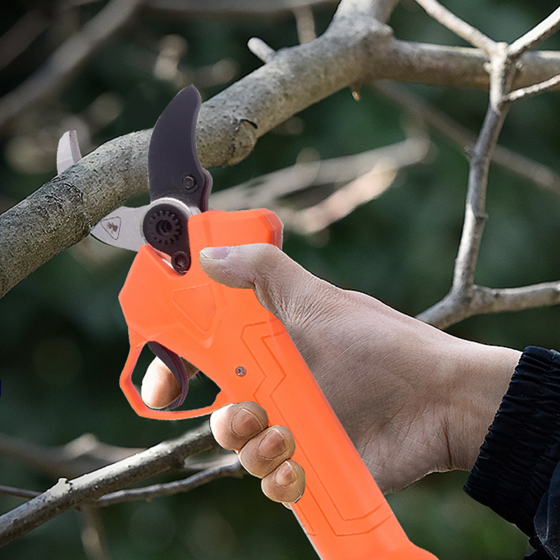 Hot Sale 42V Bodypack Electric - đánh giá và giá Gardening Tools For Sale