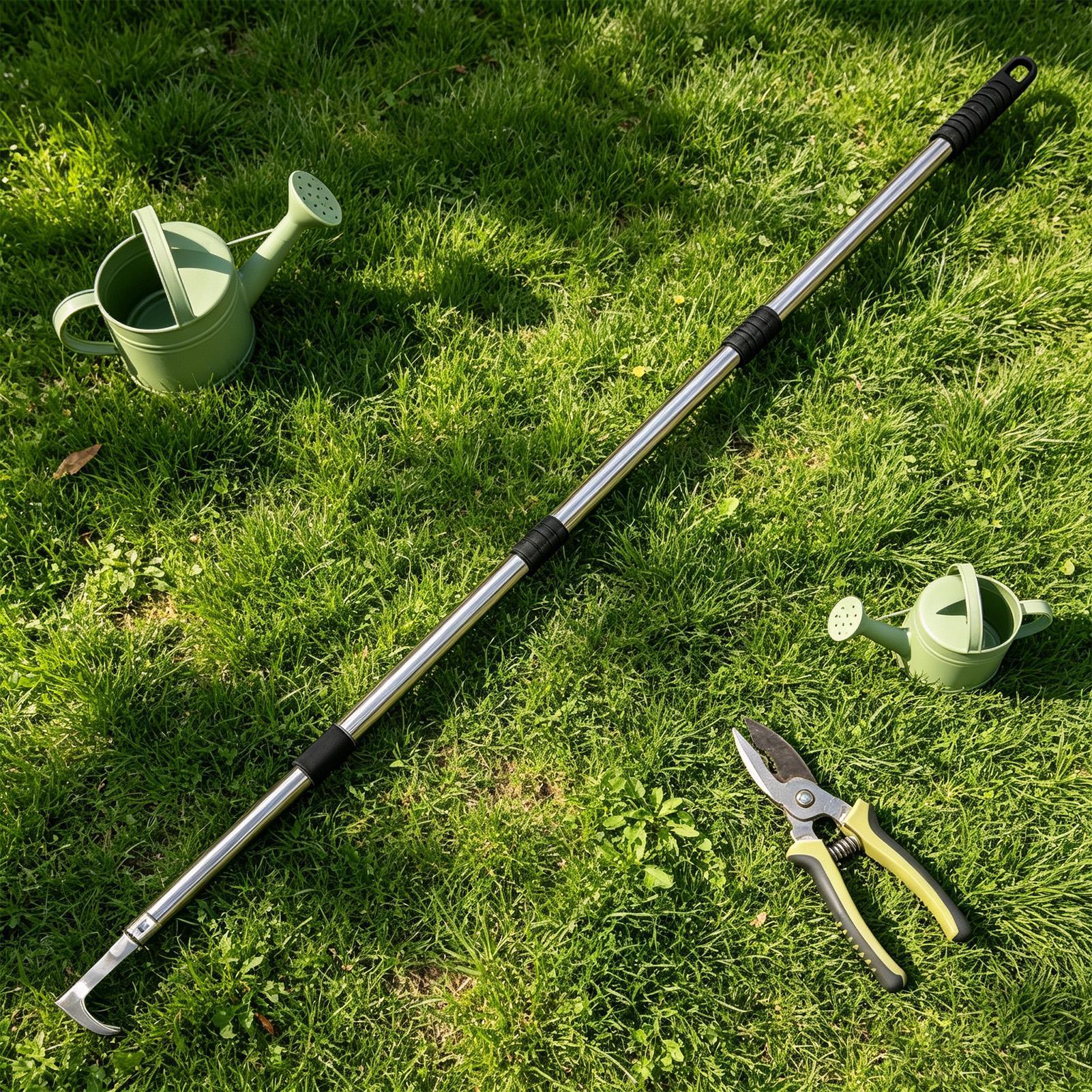 Crack Weeder Steel Long Handle - đánh giá và giá Gardening Hand Tools Yard