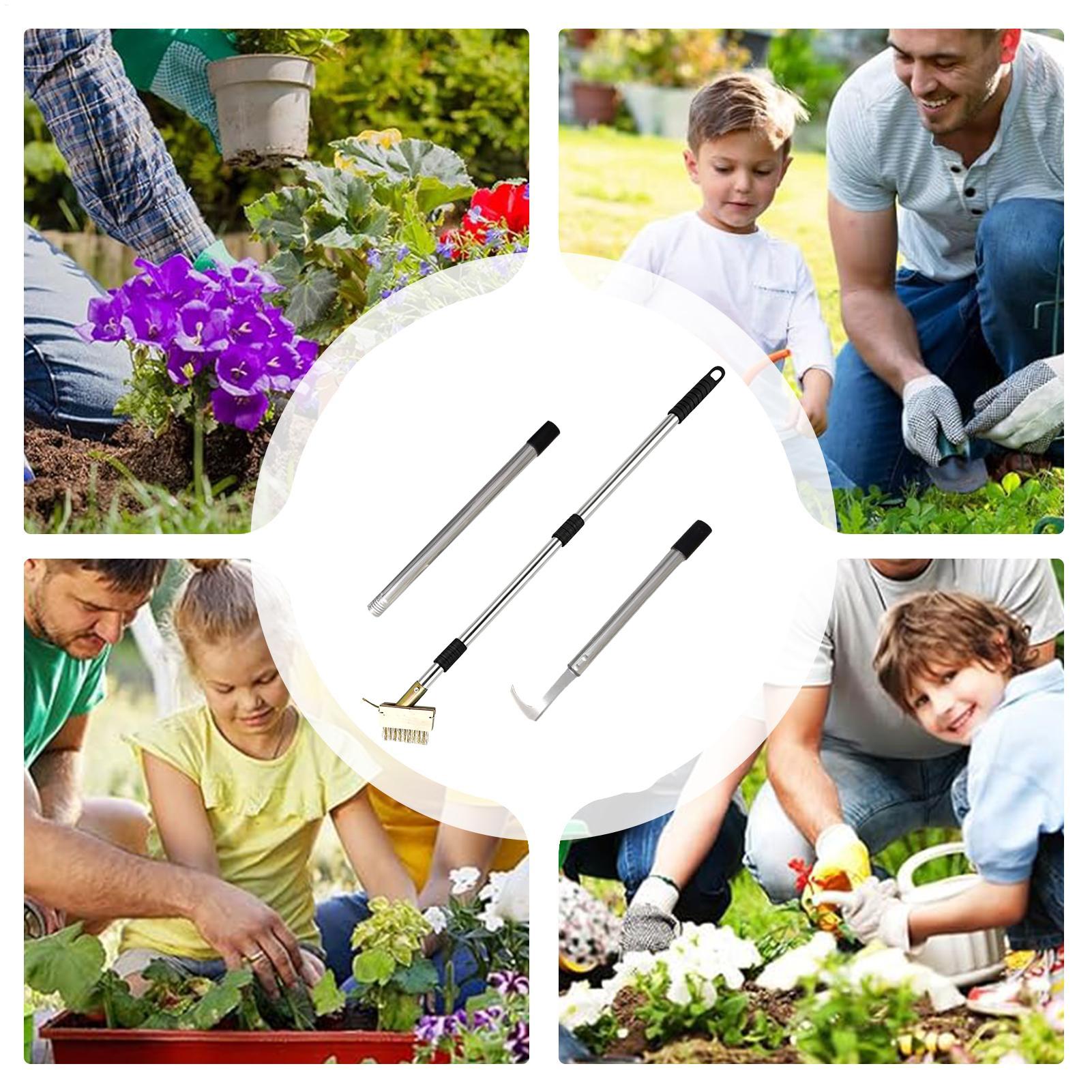 Crack Weeder Steel Long Handle - đánh giá và giá Gardening Hand Tools Yard
