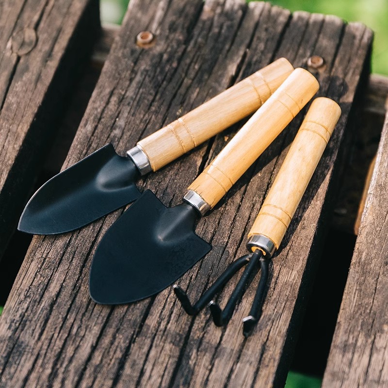 3PCS Planting Tools Mini Diggi - đánh giá và giá Gardening Tools For Weeds