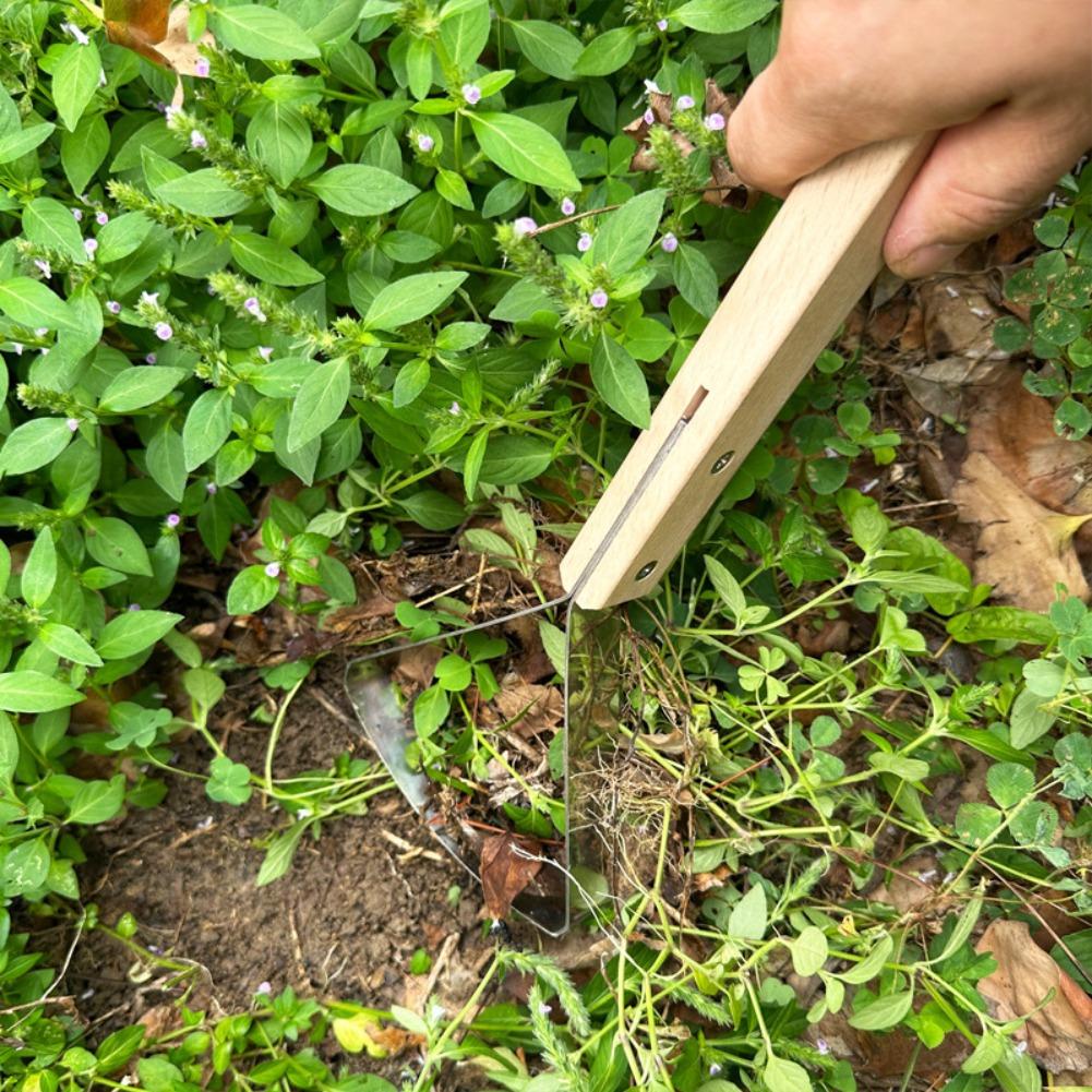 Grass Scraper Tool Manual Weed - đánh giá và giá Gardening Hand Tools Yard