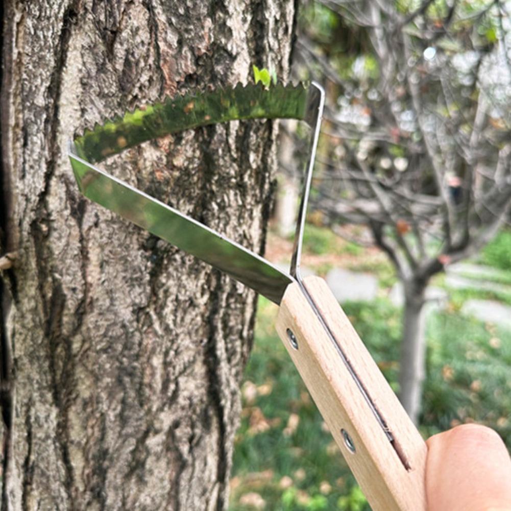 Grass Scraper Tool Manual Weed - đánh giá và giá Gardening Hand Tools Yard