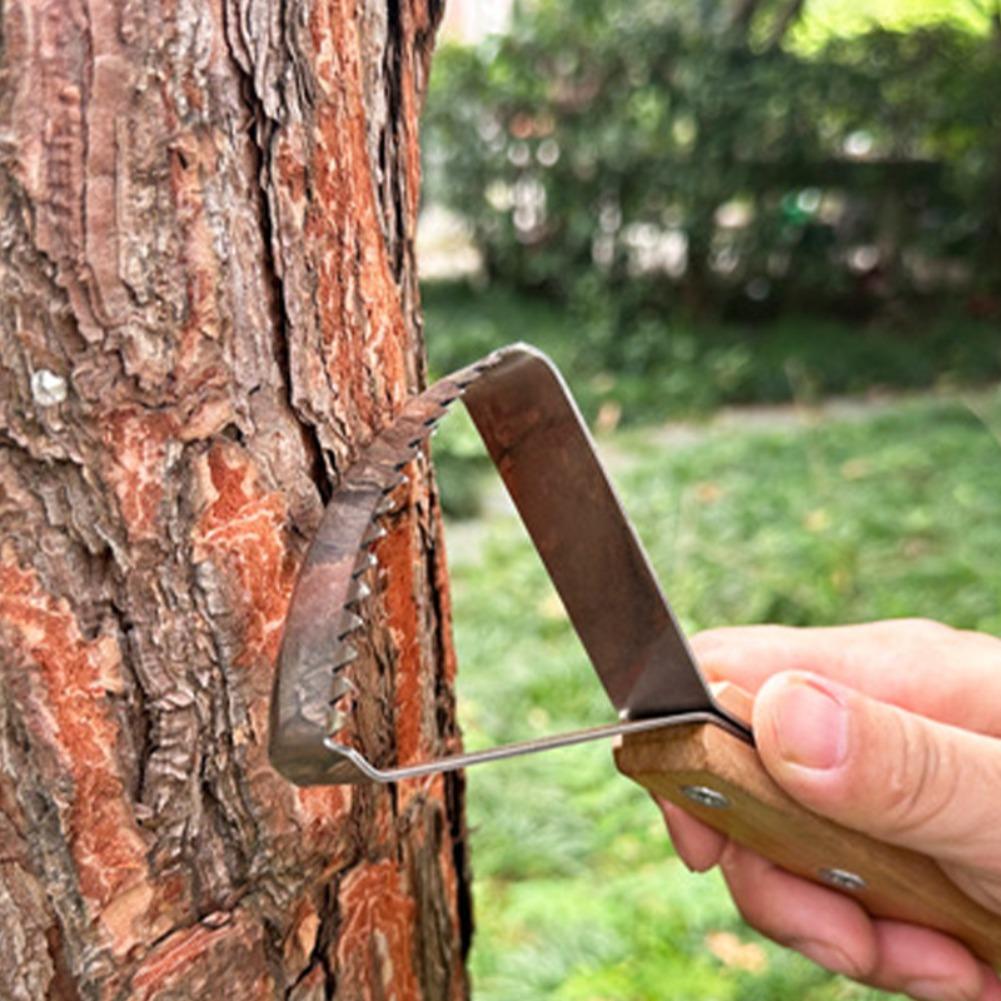 Grass Scraper Tool Manual Weed - đánh giá và giá Gardening Hand Tools Yard
