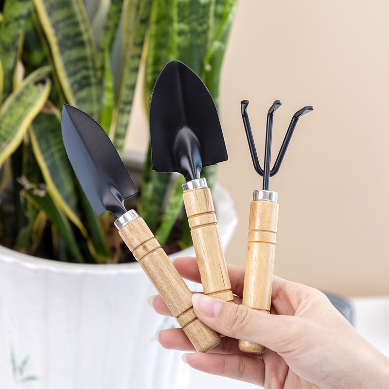 3PC/1Set  Mini Gardening Tools - đánh giá và giá Gardening Tools For Weeds