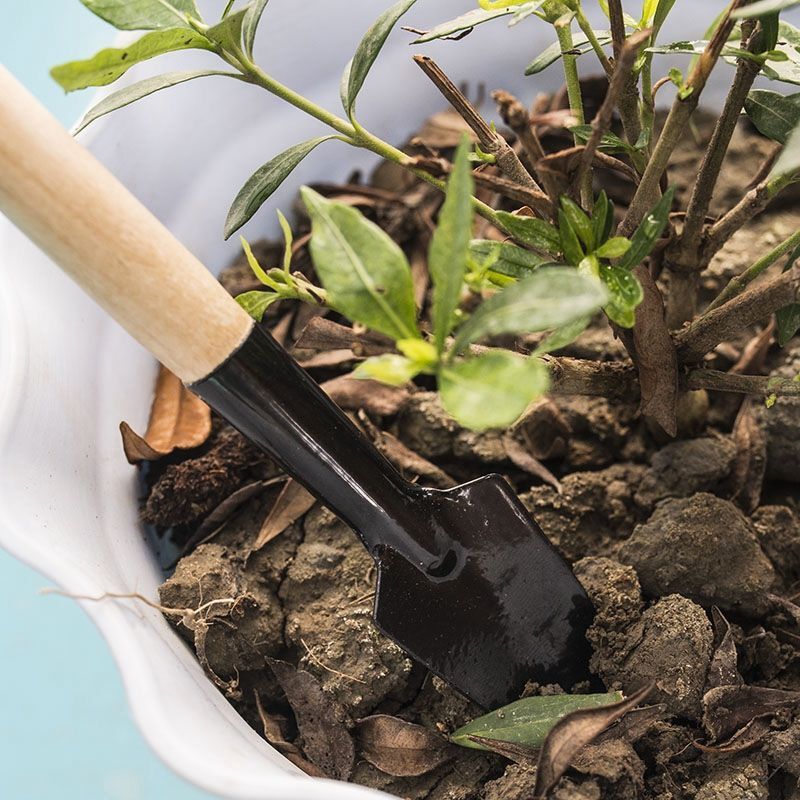 3PC/1Set  Mini Gardening Tools - đánh giá và giá Gardening Tools For Weeds