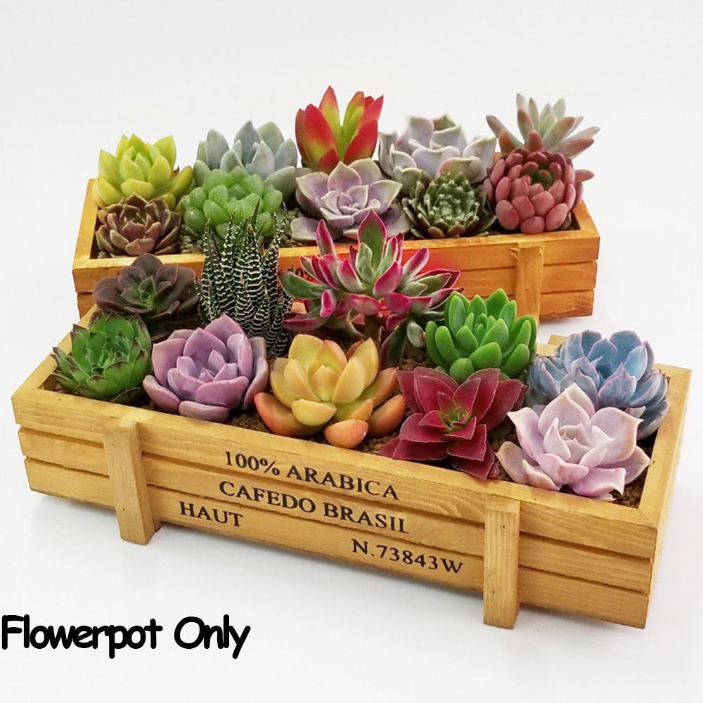 1 PC Tools Garden Decor Trough - đánh giá và giá Gardening Tools Vintage