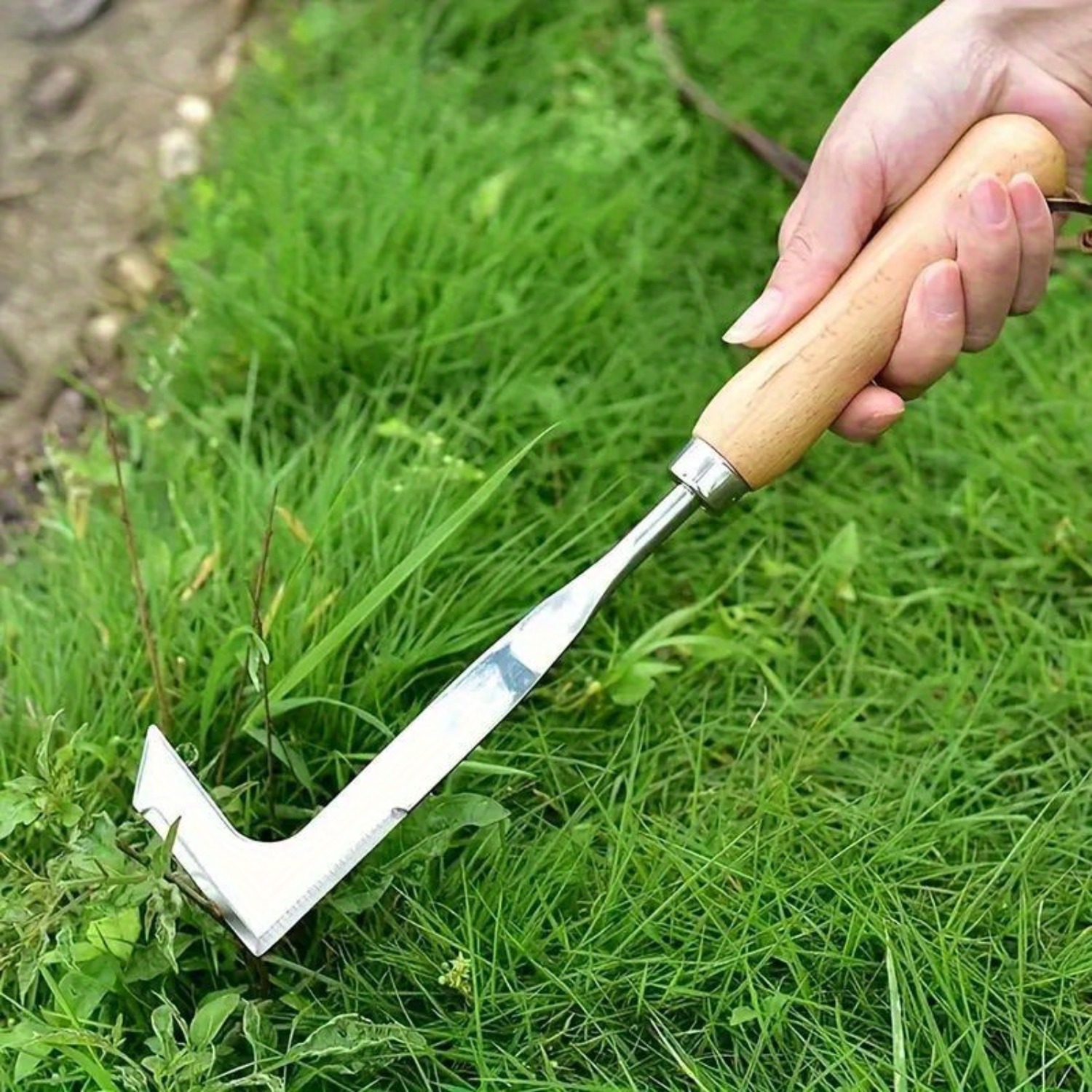 Stainless Steel Gap Weeding To - đánh giá và giá Gardening Hand Tools Yard