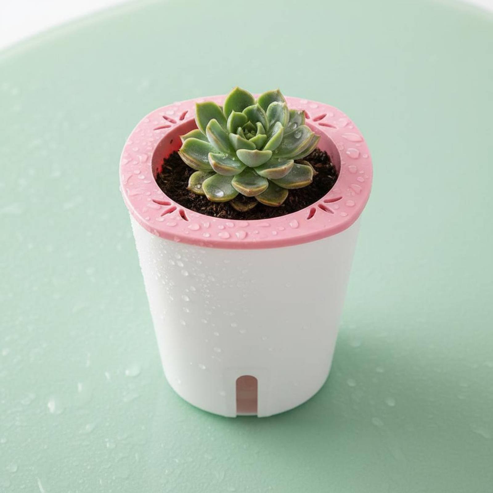 Self Watering Planter Large Si - đánh giá và giá Gardening Tools In