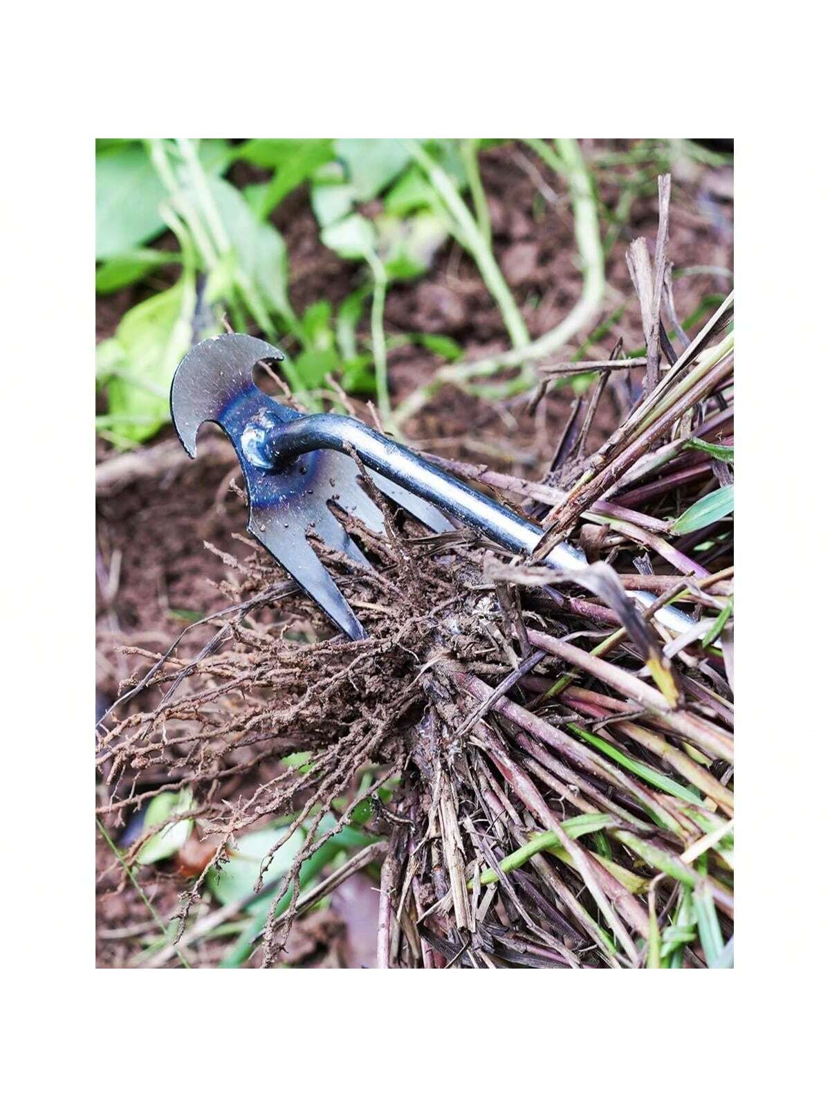 4 Teeths - Multifunctional Han - đánh giá và giá Gardening Tools For Weeds