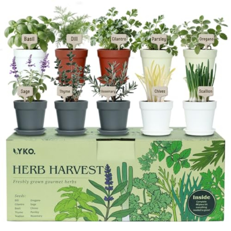 10 Indoor Herb Garden Kit 33pc - đánh giá và giá Gardening Tools Set Gift