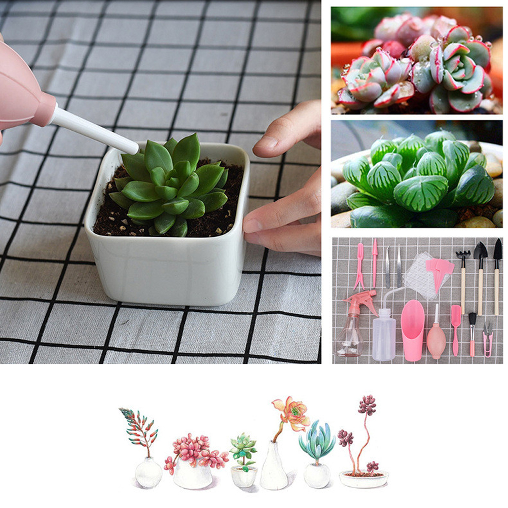 # Hot Sales 16 Piece Mini Pink - đánh giá và giá Gardening Tools Kit For Sale