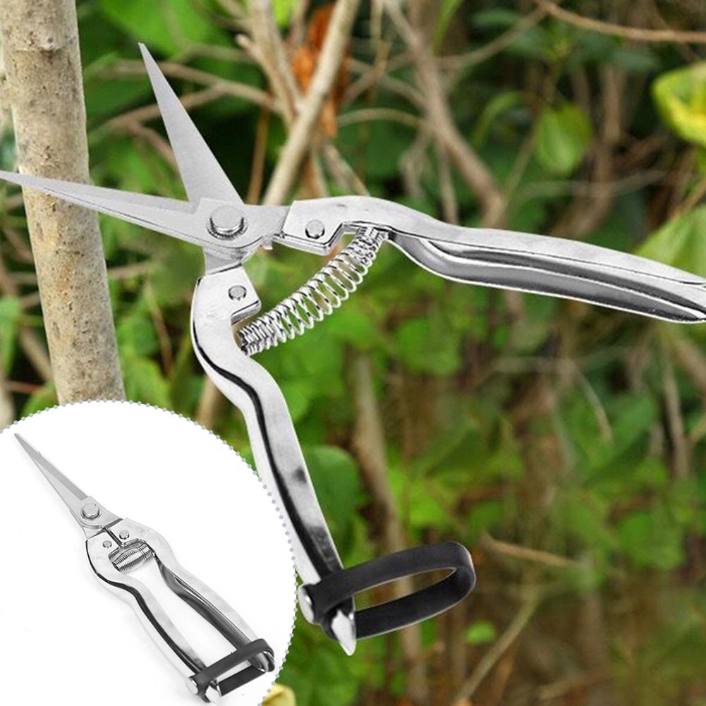 Pruner Pruning Shears Gardenin - đánh giá và giá Gardening Hand Tools Yard